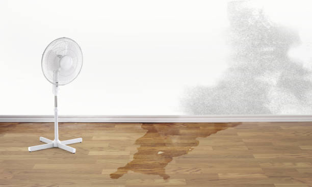 Best Flood restoration services  in Pataskala, OH