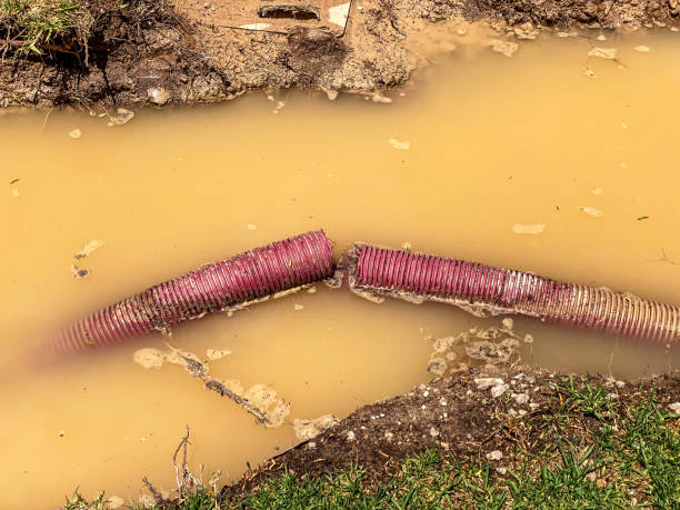 Best 24/7 water damage repair  in Pataskala, OH